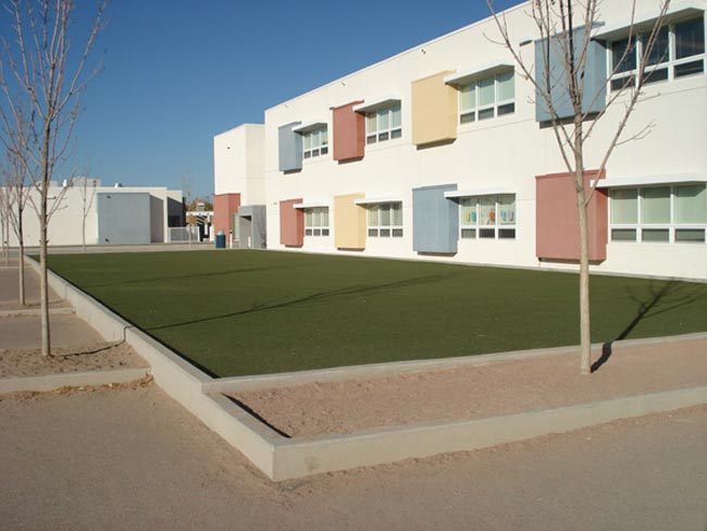 service single images