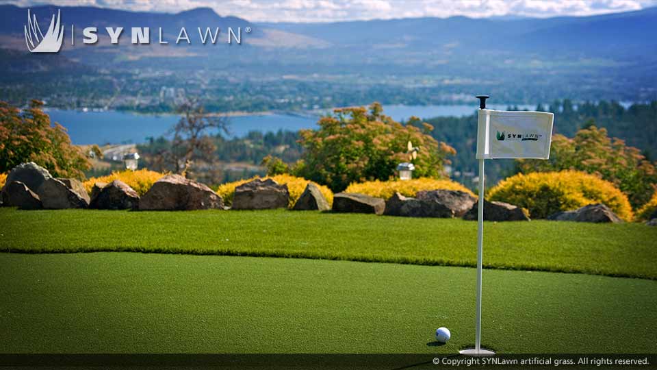 service single images