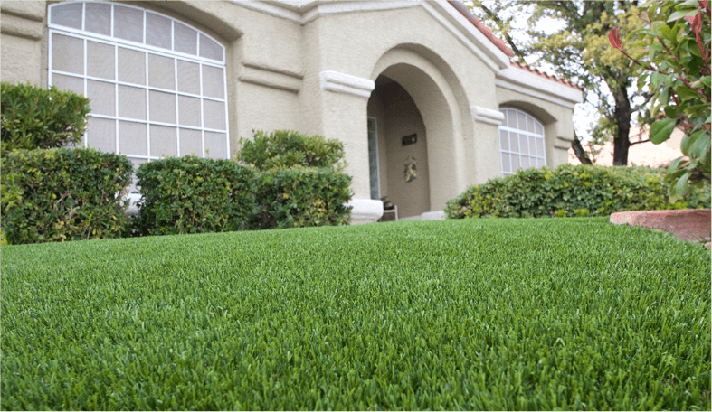 service single images