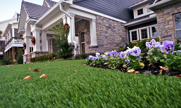 service single images