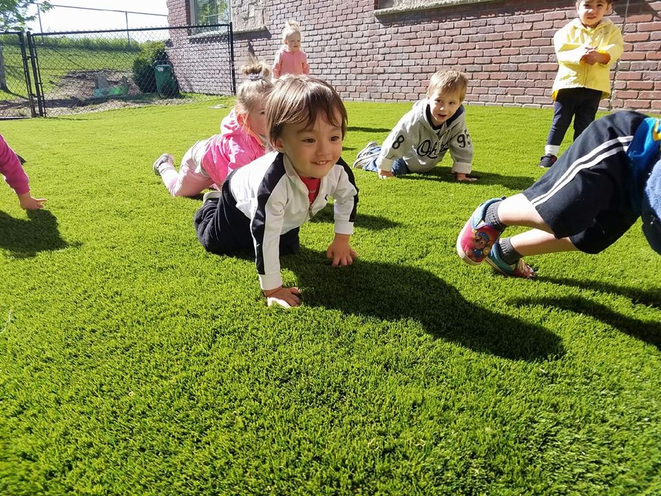 service single images